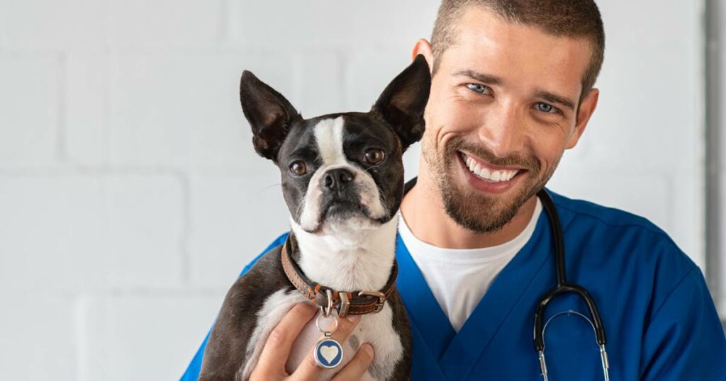 veterinario em sao paulo