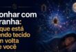 sonhar com aranha