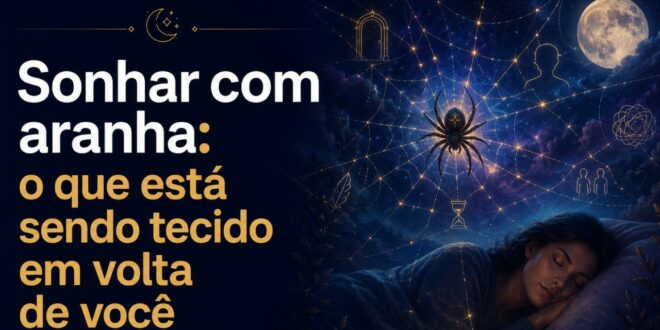 sonhar com aranha