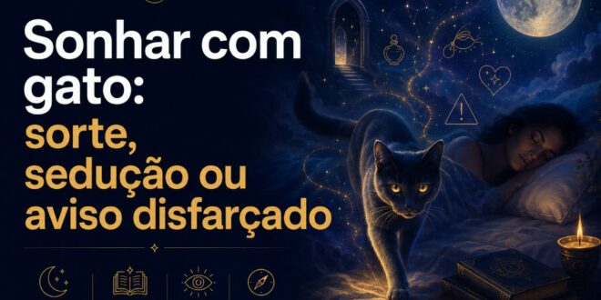 sonhar com gato